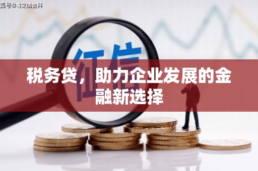 龙口税务贷，助力企业发展的金融新选择