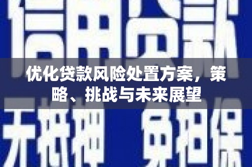 龙口优化贷款风险处置方案，策略、挑战与未来展望
