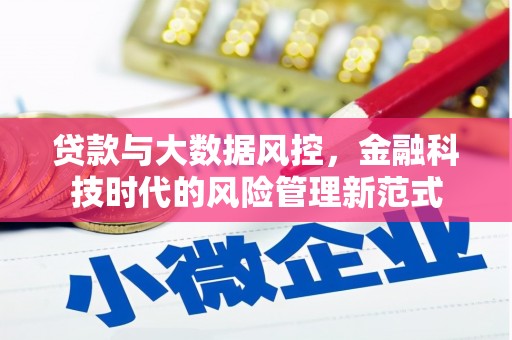 龙口贷款与大数据风控，金融科技时代的风险管理新范式