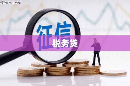 龙口税务贷