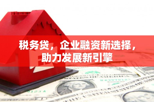 龙口税务贷，企业融资新选择，助力发展新引擎