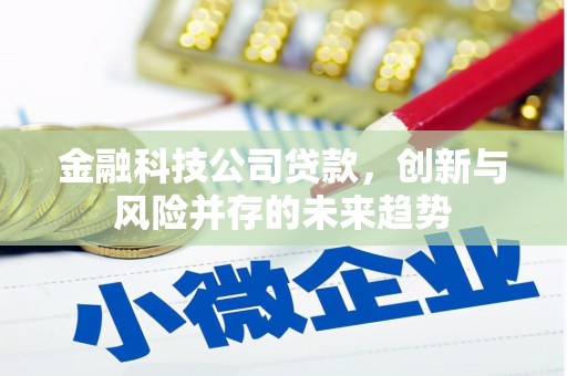 龙口金融科技公司贷款，创新与风险并存的未来趋势