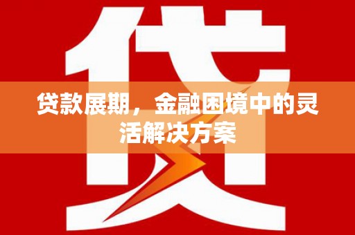 龙口贷款展期，金融困境中的灵活解决方案