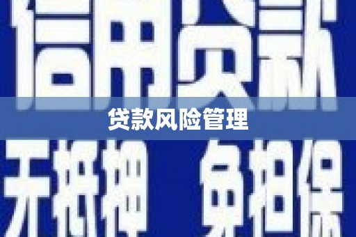 龙口贷款风险管理