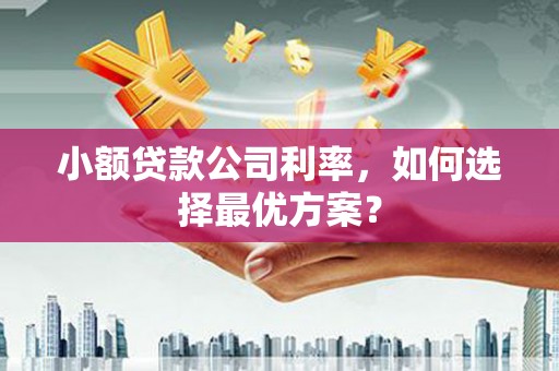 龙口小额贷款公司利率，如何选择最优方案？