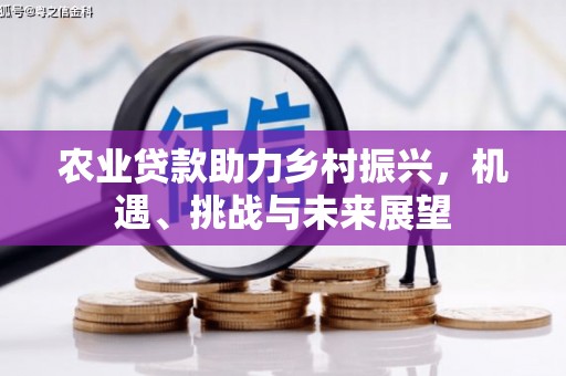 龙口农业贷款助力乡村振兴，机遇、挑战与未来展望