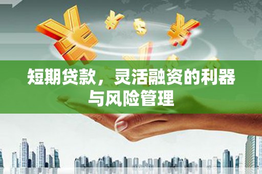 龙口短期贷款，灵活融资的利器与风险管理