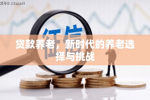 龙口贷款养老，新时代的养老选择与挑战