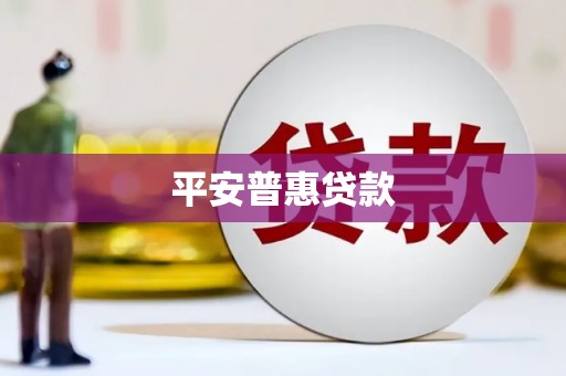 龙口平安普惠贷款