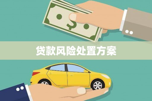 龙口贷款风险处置方案