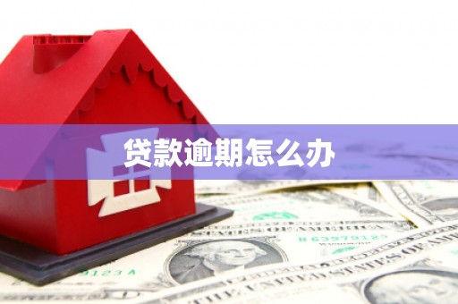 龙口贷款逾期怎么办