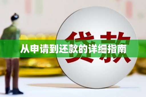 龙口从申请到还款的详细指南