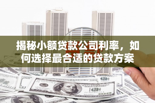 龙口揭秘小额贷款公司利率，如何选择最合适的贷款方案