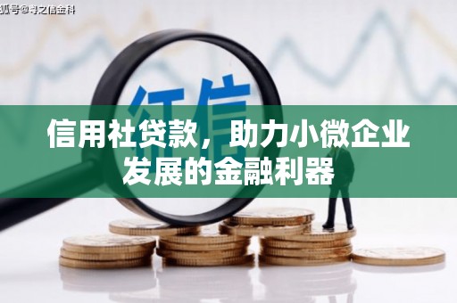 龙口信用社贷款，助力小微企业发展的金融利器