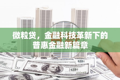 龙口微粒贷，金融科技革新下的普惠金融新篇章