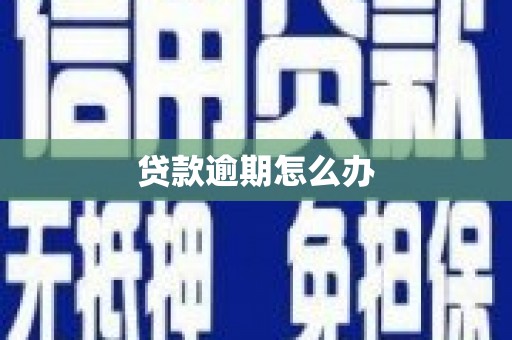 龙口贷款逾期怎么办
