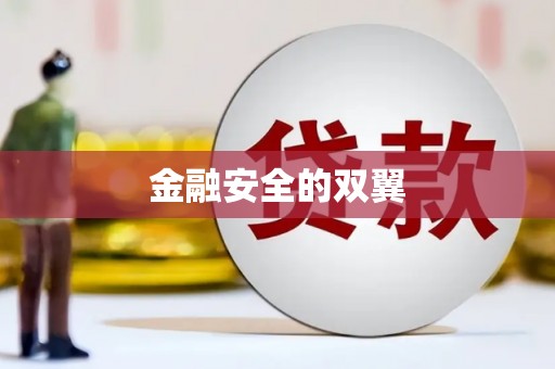 龙口金融安全的双翼