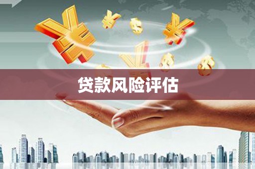 龙口贷款风险评估