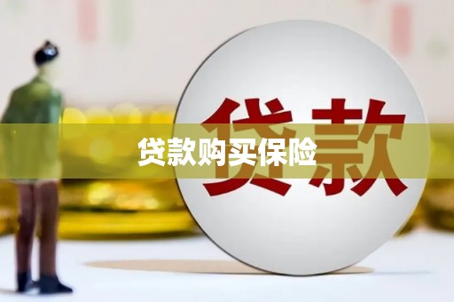 龙口贷款购买保险