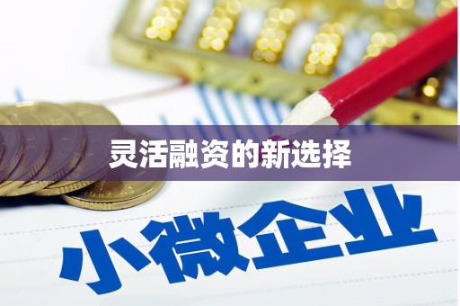龙口灵活融资的新选择