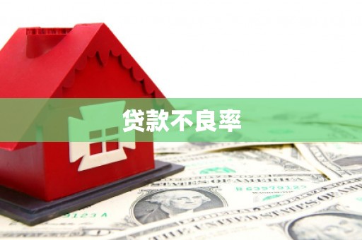 龙口贷款不良率