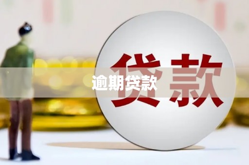龙口逾期贷款