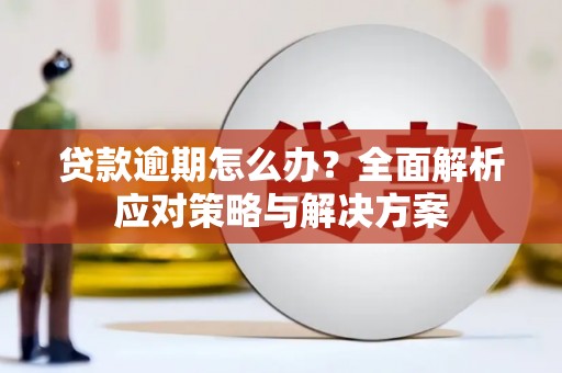 龙口贷款逾期怎么办？全面解析应对策略与解决方案