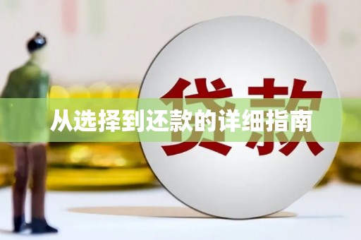 龙口从选择到还款的详细指南