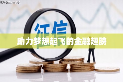 龙口助力梦想起飞的金融翅膀