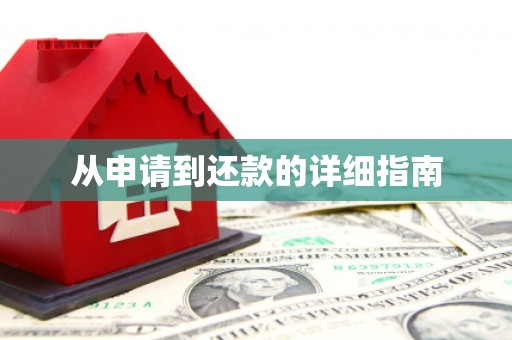 龙口从申请到还款的详细指南