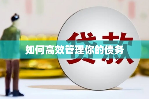 龙口如何高效管理你的债务