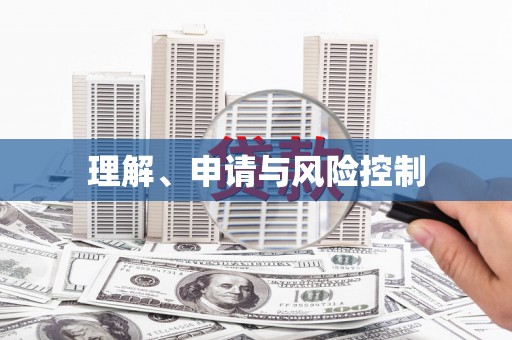 龙口理解、申请与风险控制