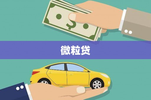 龙口微粒贷
