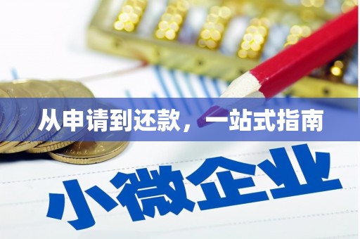 龙口从申请到还款，一站式指南