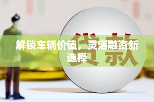 龙口解锁车辆价值，灵活融资新选择