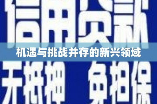 龙口机遇与挑战并存的新兴领域