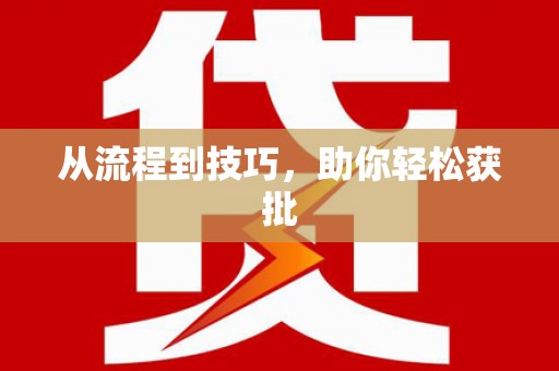 龙口从流程到技巧，助你轻松获批