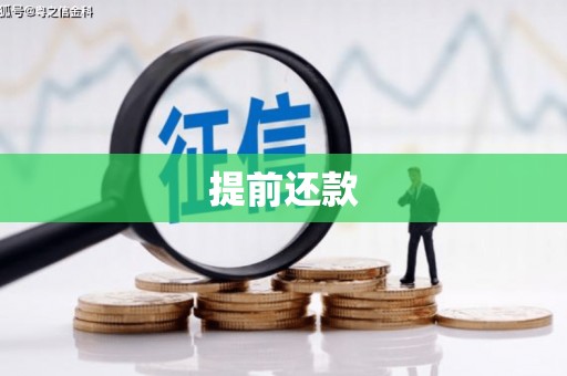 龙口提前还款