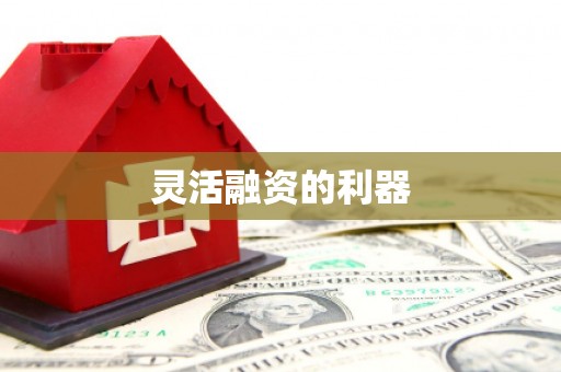 龙口灵活融资的利器