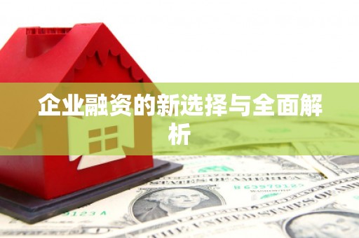 龙口企业融资的新选择与全面解析
