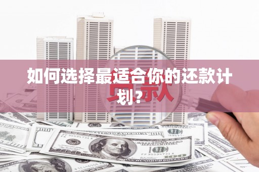 龙口如何选择最适合你的还款计划？